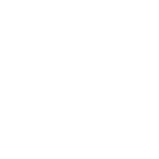 Telekom – Partner IT Business Collaboration